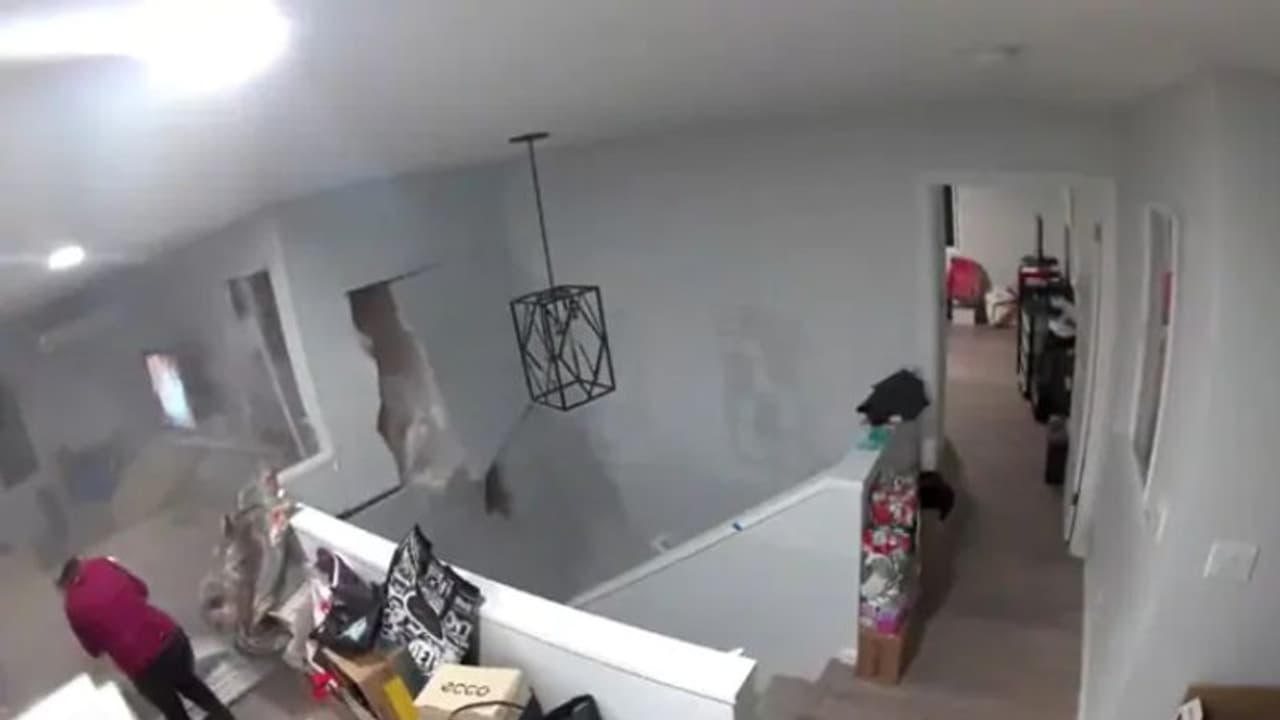 ദാരുണമായ മരണത്തില്‍ നിന്ന് തലനാരിഴയ്ക്ക് രക്ഷപ്പെട്ട് യുവതി; ഭയപ്പെടുത്തും ഈ വീഡിയോ...