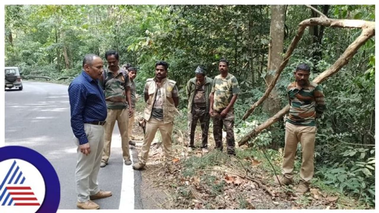 ಕೊಡಗಿನ ಮಾಕುಟ್ಟ ಅರಣ್ಯ ಪ್ರದೇಶದಲ್ಲಿ ತ್ಯಾಜ್ಯ ಸುರಿಯುತ್ತಿರುವ ಕೇರಳಿಗರು! ಕೊಡಗಿನ ಮಾಕುಟ್ಟ ಅರಣ್ಯ ಪ್ರದೇಶದಲ್ಲಿ ತ್ಯಾಜ್ಯ ಸುರಿಯುತ್ತಿರುವ ಕೇರಳಿಗರು!