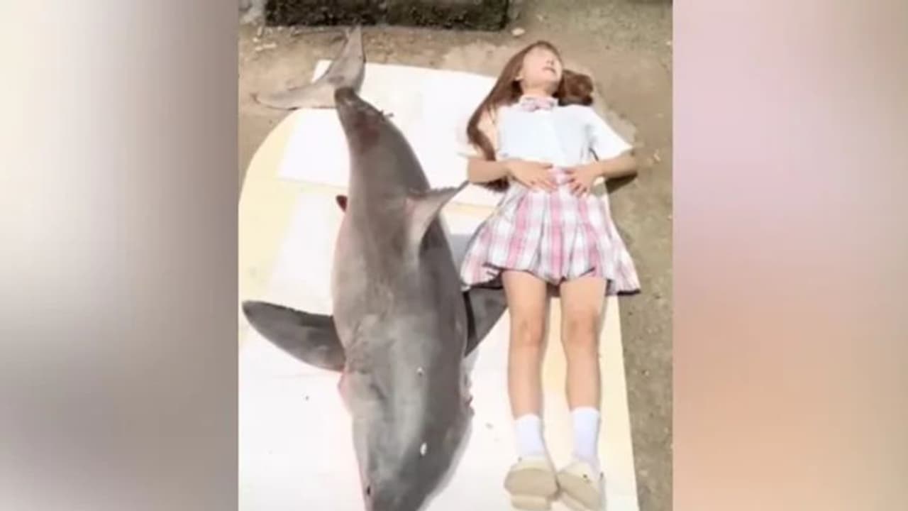 നിയമവിരുദ്ധം ; ഫുഡ് ബ്ലോഗറുടെ 'വറൈറ്റി' പരീക്ഷണത്തിന് 15 ലക്ഷം പിഴ