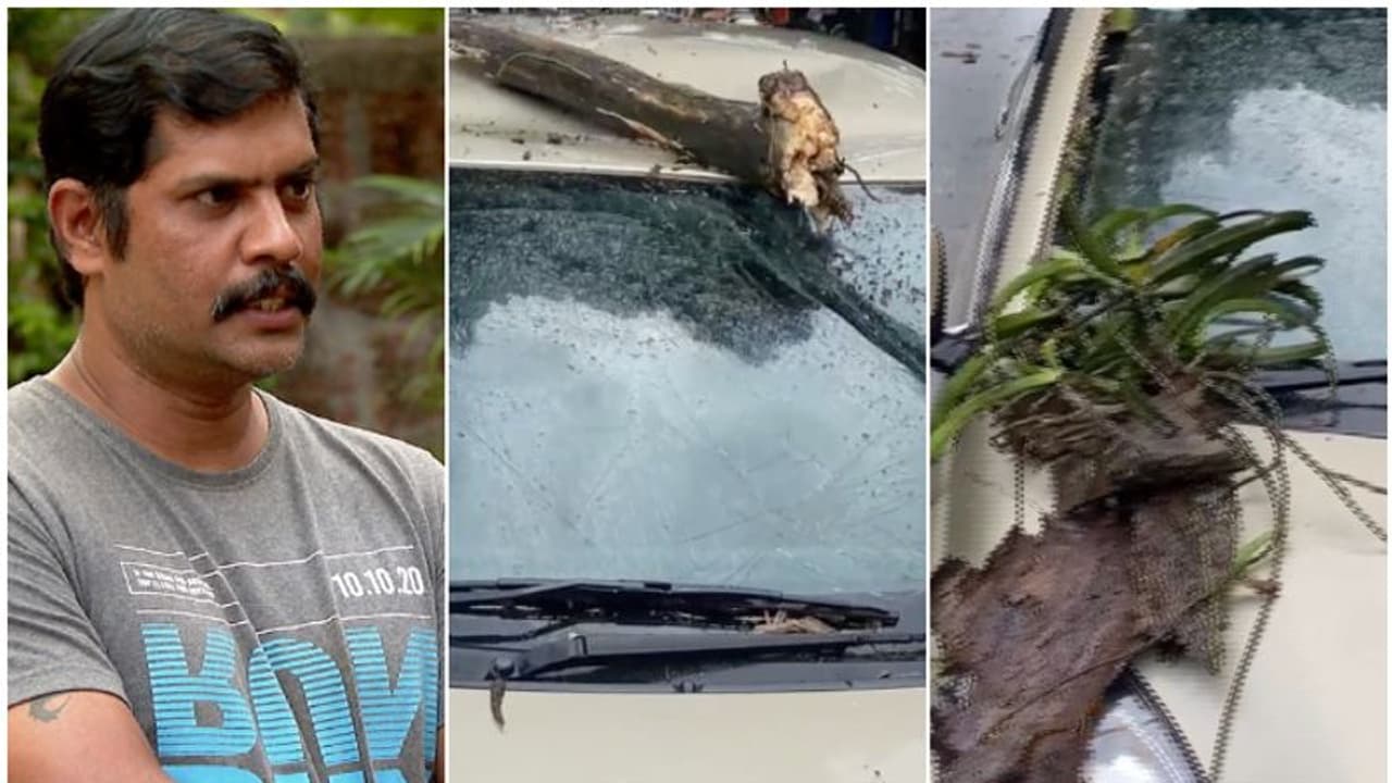 മകള്ക്കൊപ്പം സഞ്ചരിക്കുമ്പോള് കാറില് മരക്കൊമ്പ് വീണു; നീതിക്കായി യുവാവിന്റെ പോരാട്ടം, ഒടുവില്... മകള്ക്കൊപ്പം സഞ്ചരിക്കുമ്പോള് കാറില് മരക്കൊമ്പ് വീണു; നീതിക്കായി യുവാവിന്റെ പോരാട്ടം, ഒടുവില്...