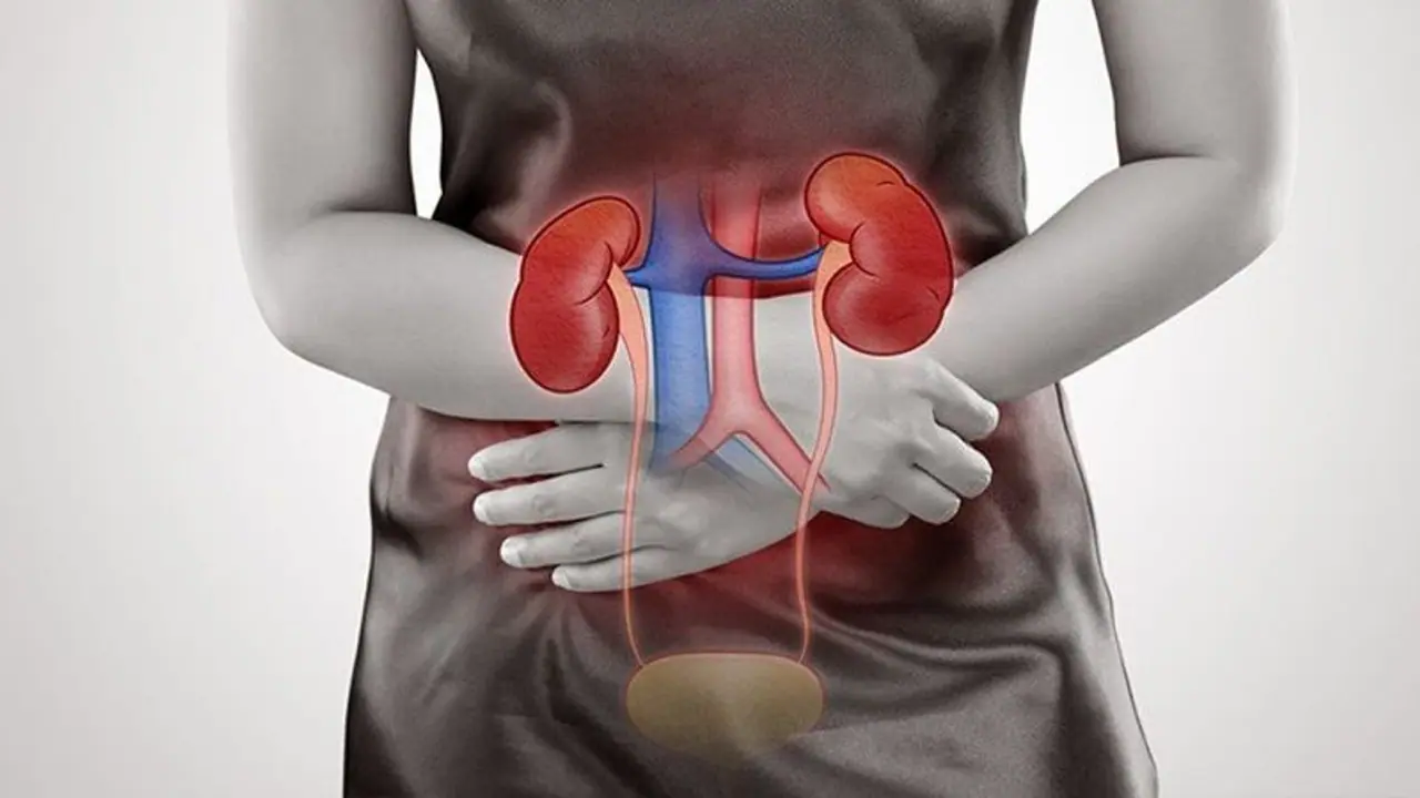 Kidney Problems: வேலை இழப்பால் சிறுநீரகப் பிரச்சனைகள் அதிகரிக்கிறதா? எச்சரிக்கும் நிபுணர்!
