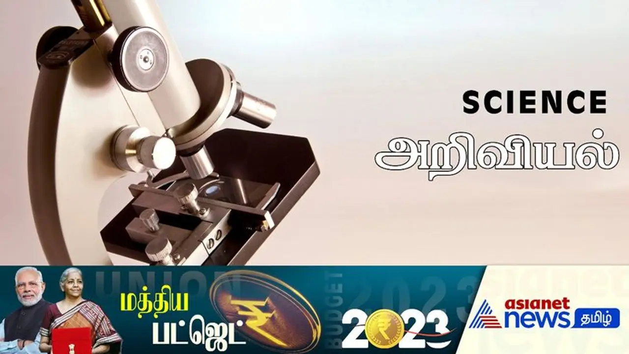Union Budget 2023 24 on Science: ChatGPT எதிரொலி! செயற்கை நுண்ணறிவு ஆய்வு மையம் அமைக்க பட்ஜெட்டில் அறிவிப்பு Union Budget 2023 24 on Science: ChatGPT எதிரொலி! செயற்கை நுண்ணறிவு ஆய்வு மையம் அமைக்க பட்ஜெட்டில் அறிவிப்பு