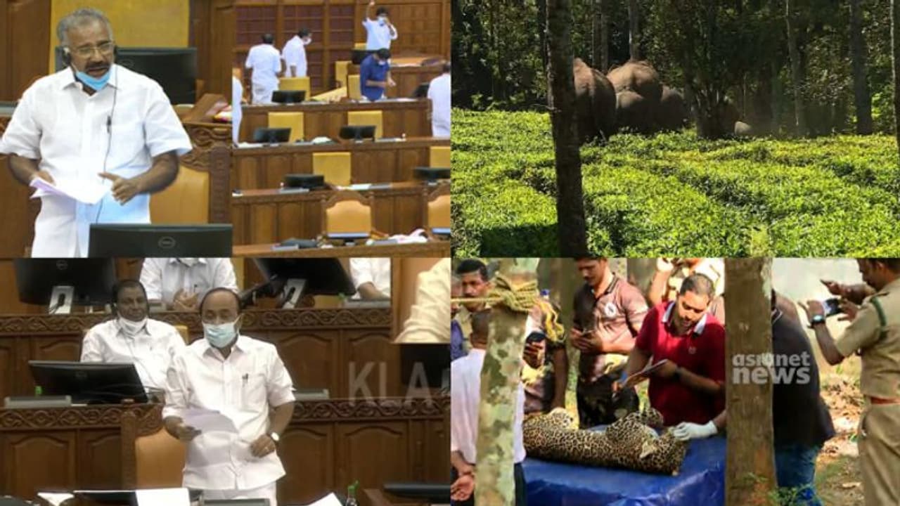 '30 ലക്ഷം പേര്‍ വന്യജീവി സംഘർഷത്തിന്‍റെ ഭീതിയിൽ,ആളെ കൊന്നാൽ മാത്രമേ കടുവയെ പിടിക്കുന്നുള്ളൂ'