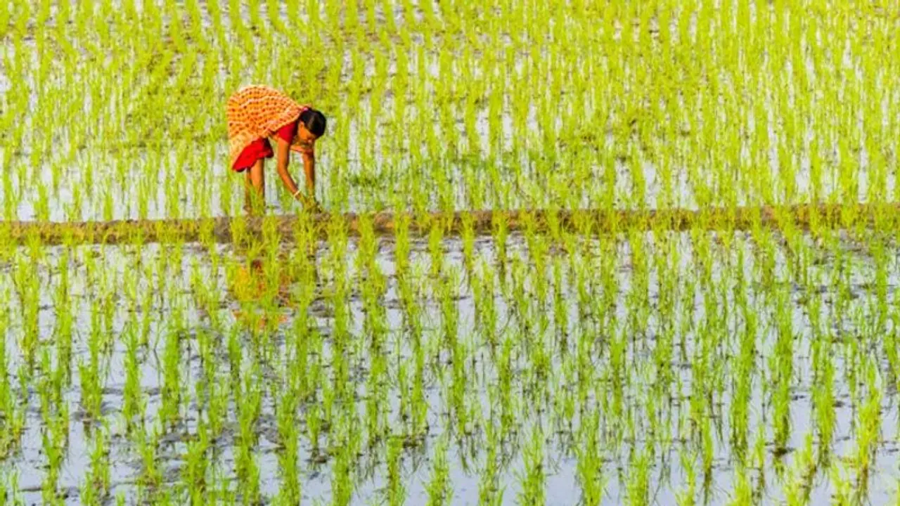  ಕೃಷಿ ಸಮ್ಮಾನ್‌ ಯೋಜನೆ ಅತಿ ಮಹತ್ವದ್ದು: ಸಂಸದ