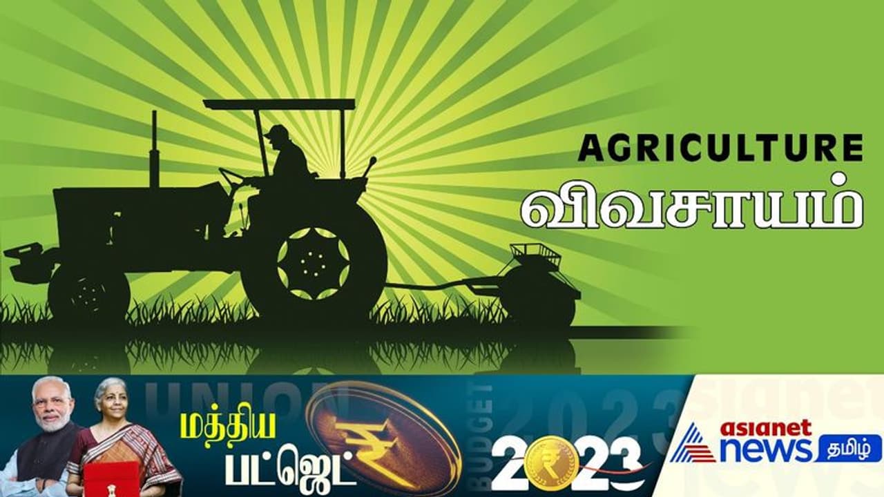 Union Budget 2023: விவசாய ஸ்டார்ட்அப் நிறுவனங்களுக்கு ரூ.20 லட்சம் கோடி கடன் Union Budget 2023: விவசாய ஸ்டார்ட்அப் நிறுவனங்களுக்கு ரூ.20 லட்சம் கோடி கடன்