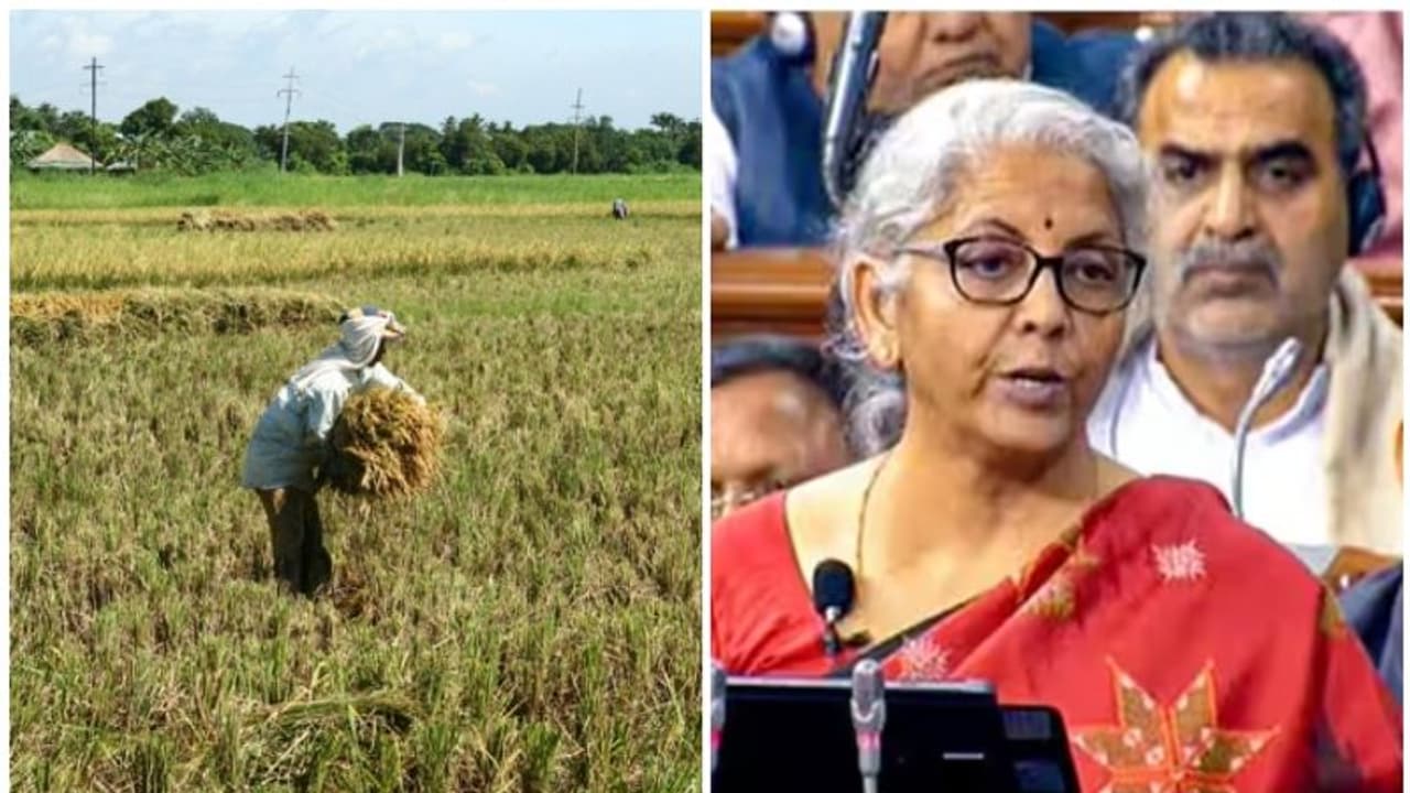 Union Budget 2023: ಕೃಷಿಗೆ ಭರಪೂರ ಕೊಡುಗೆ; ನಿರ್ಮಲಾ ಬಜೆಟ್ನಿಂದ ರೈತರಿಗೆ ಸಿಗಲಿದೆ ಈ ಪ್ರಯೋಜನಗಳು..! Union Budget 2023: ಕೃಷಿಗೆ ಭರಪೂರ ಕೊಡುಗೆ; ನಿರ್ಮಲಾ ಬಜೆಟ್ನಿಂದ ರೈತರಿಗೆ ಸಿಗಲಿದೆ ಈ ಪ್ರಯೋಜನಗಳು..!