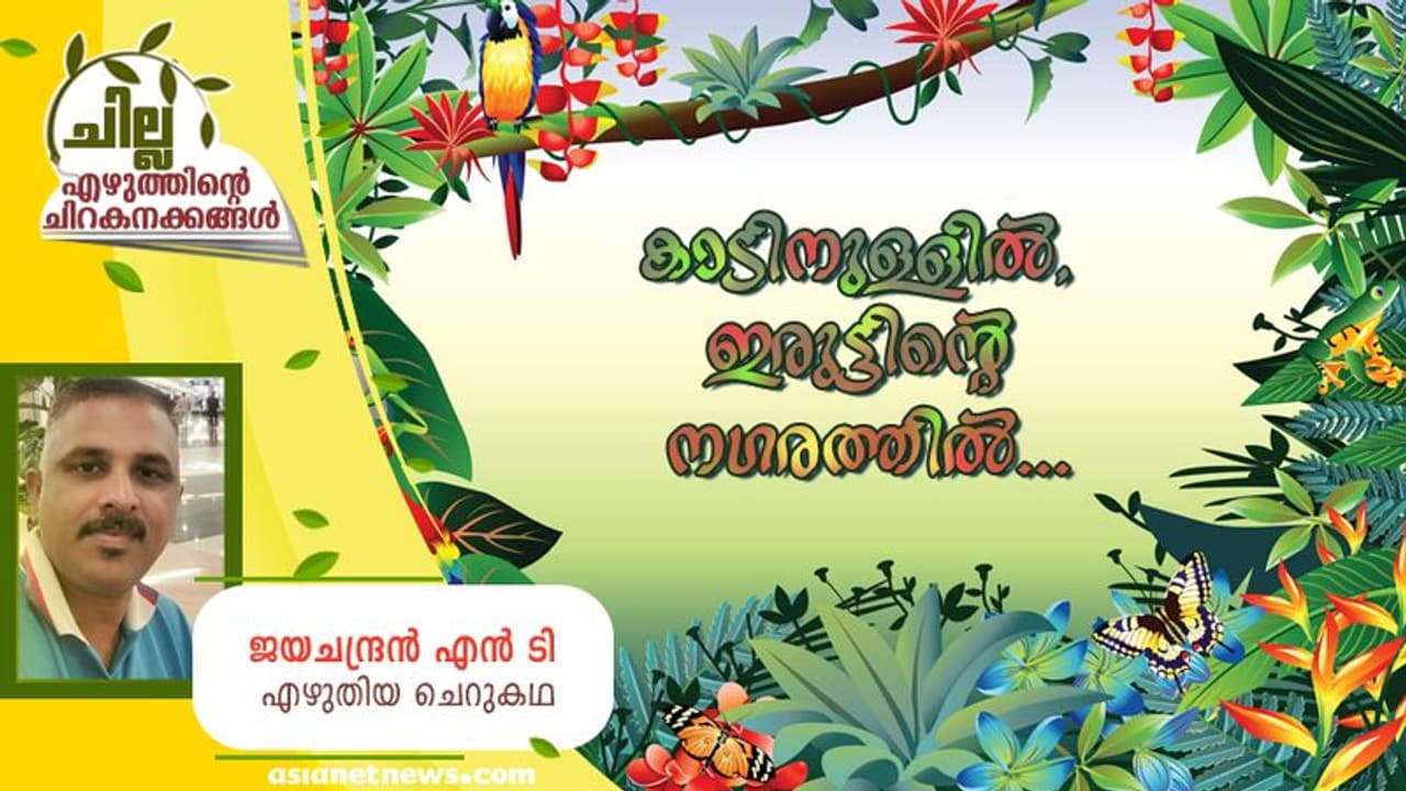  Malayalam Short Story : കാടിനുള്ളില്‍, ഇരുട്ടിന്‍റെ നഗരത്തില്‍... ജയചന്ദ്രന്‍ എന്‍ ടി എഴുതിയ ചെറുകഥ
