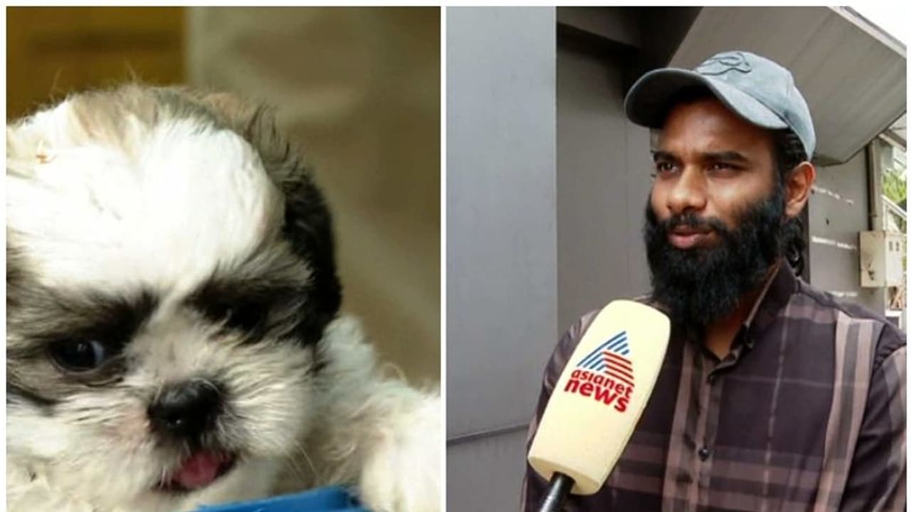 പട്ടിക്കുട്ടിയെ തട്ടിക്കൊണ്ട് പോയ സംഭവം; പ്രതികളോട് ക്ഷമിച്ചെന്ന് പെറ്റ് ഷോപ്പ് ഉടമ