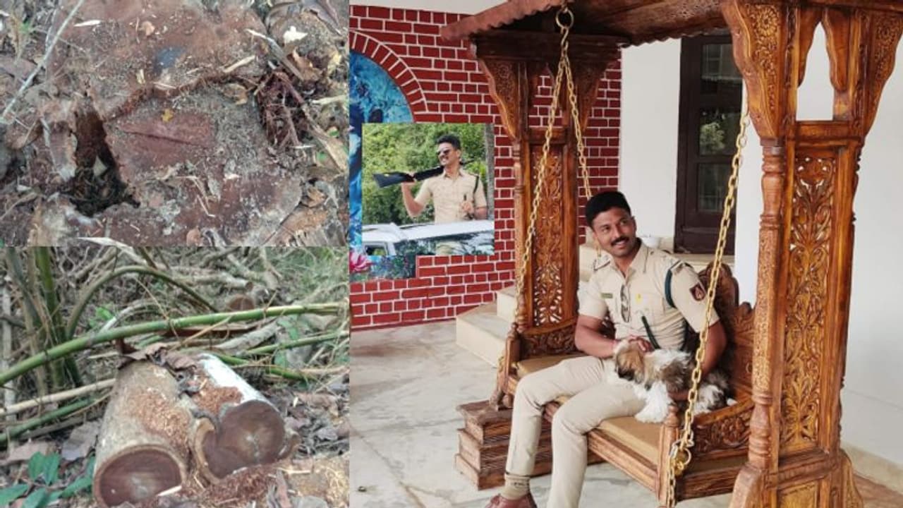 Chikkamagaluru: ಕಾಡಿನ ರಕ್ಷಕನೇ ಭಕ್ಷಕನಾದ: ಮರಗಳನ್ನು ಕಡಿದು ಮಾರಿದ ಅರಣ್ಯಾಧಿಕಾರಿ ಸಸ್ಪೆಂಡ್