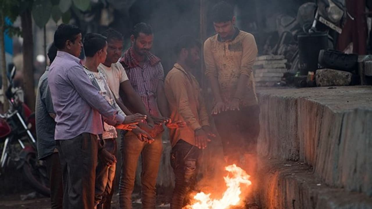 Mumbai to witness coldest weather over next three days; IMD predicts drop in temperature