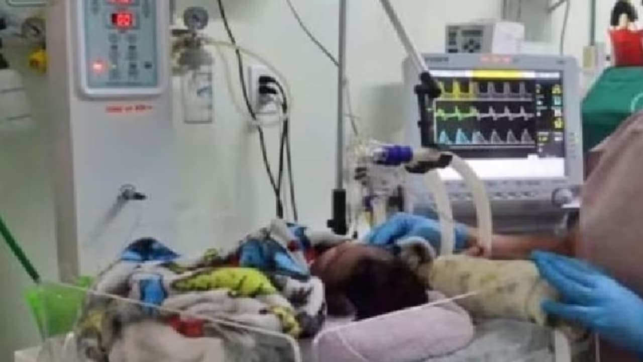 பேருந்தில் கேட்பாரற்று கிடந்த பச்சிளம் குழந்தை; ஓட்டுநர், நடத்துநர் அதிர்ச்சி