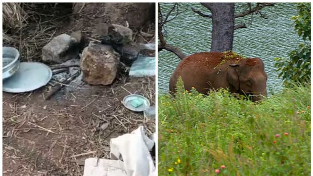 ഇടുക്കിയിൽ വീണ്ടും കാട്ടാന ആക്രമണം,വീട് ഭാഗികമായി തകർത്ത് അരിക്കൊമ്പൻ ഇടുക്കിയിൽ വീണ്ടും കാട്ടാന ആക്രമണം,വീട് ഭാഗികമായി തകർത്ത് അരിക്കൊമ്പൻ