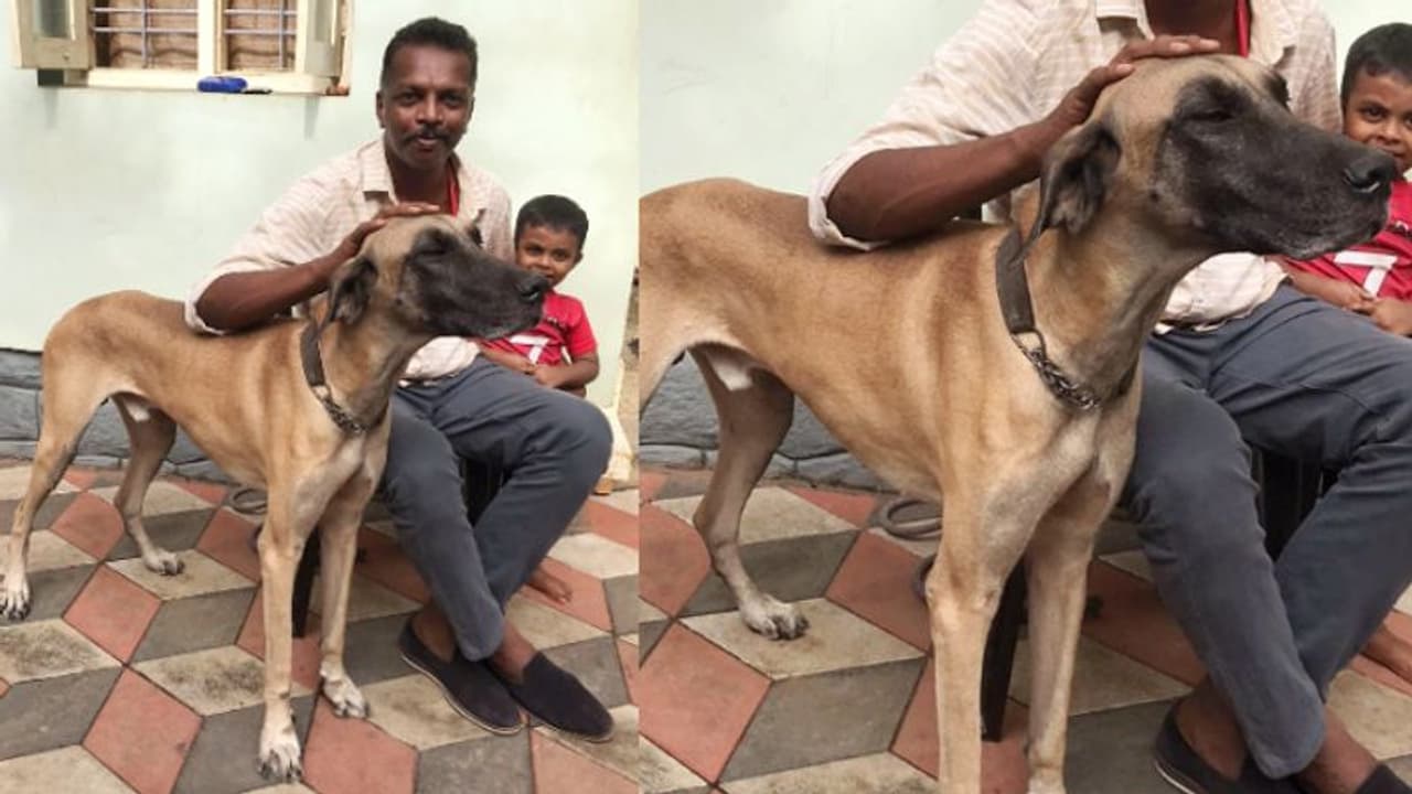 പട്ടിണി കിടന്ന് ചാവാനായി ബാഷയെ തെരുവില് ഉപേക്ഷിച്ചവര് തോറ്റു, ജീവിതത്തിലേക്ക് തിരിച്ച് നടന്ന് ഈ മിടുക്കന് പട്ടിണി കിടന്ന് ചാവാനായി ബാഷയെ തെരുവില് ഉപേക്ഷിച്ചവര് തോറ്റു, ജീവിതത്തിലേക്ക് തിരിച്ച് നടന്ന് ഈ മിടുക്കന്