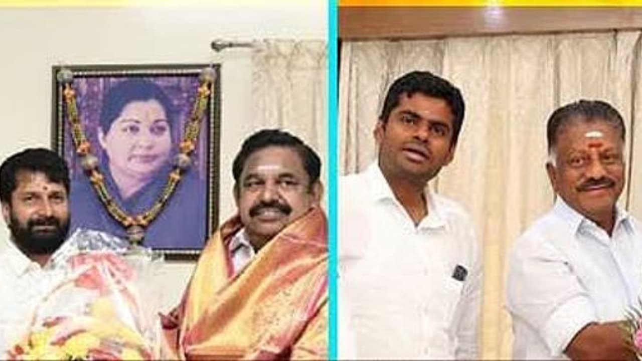 ஓபிஎஸ் இபிஎஸ்யை சந்தித்து பேசியது ஏன்..? ஜேபி.நட்டா கூறிய ரகசிய தகவல் என்ன.? அண்ணாமலை வெளியிட்ட பரபரப்பு தகவல்