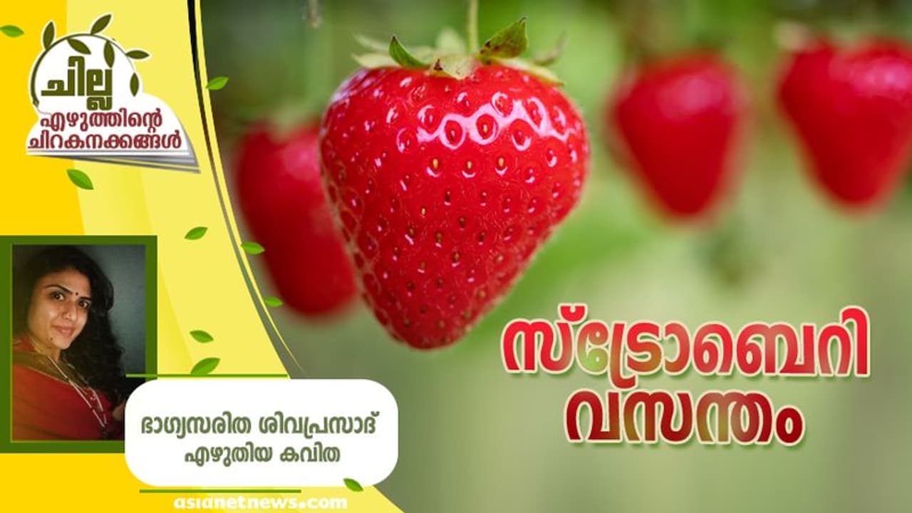 Malayalam Poem: സ്ട്രോബെറി വസന്തം, ഭാഗ്യസരിത ശിവപ്രസാദ് എഴുതിയ കവിത Malayalam Poem: സ്ട്രോബെറി വസന്തം, ഭാഗ്യസരിത ശിവപ്രസാദ് എഴുതിയ കവിത