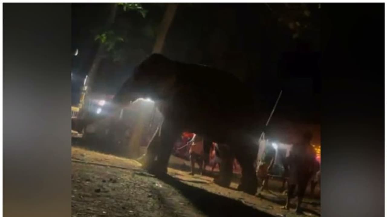 തൃശൂർ കുന്നംകുളത്ത് രാത്രിപൂരത്തിനിടയിൽ ആനയിടഞ്ഞു 