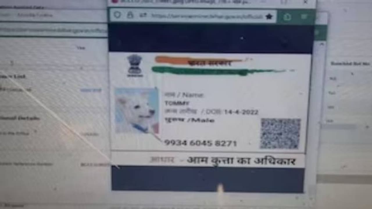 ജാതി സർട്ടിഫിക്കറ്റിന് വേണ്ടി നായയുടെ അപേക്ഷ, അന്തംവിട്ട് ഉദ്യോഗസ്ഥർ ജാതി സർട്ടിഫിക്കറ്റിന് വേണ്ടി നായയുടെ അപേക്ഷ, അന്തംവിട്ട് ഉദ്യോഗസ്ഥർ