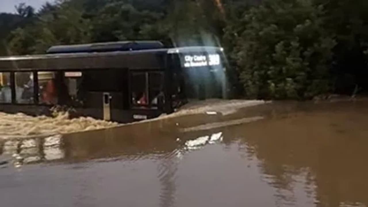 കഴുത്തൊപ്പം വെള്ളത്തിലും തോറ്റ് പിന്മാറാതെ; വീഡിയോ... കഴുത്തൊപ്പം വെള്ളത്തിലും തോറ്റ് പിന്മാറാതെ; വീഡിയോ...