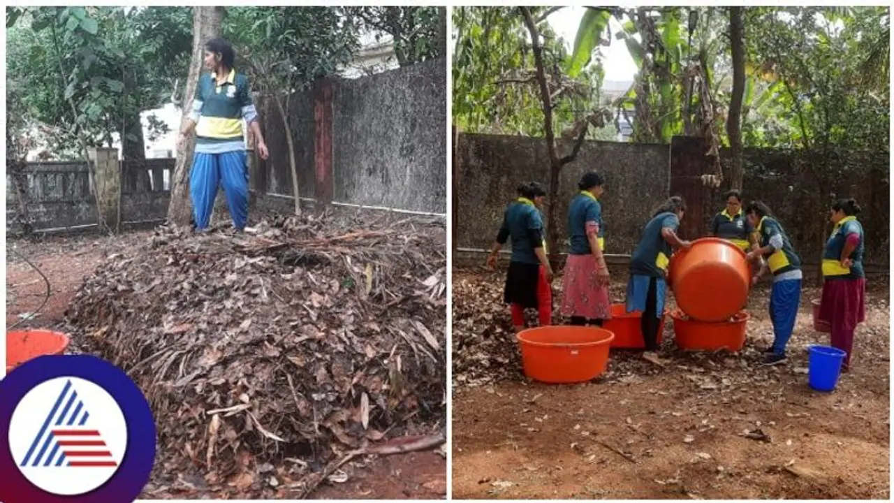 ಸ್ವಚ್ಛತೆಗೆ ಮಾದರಿಯಾದ ಉಡುಪಿ ಜಿಲ್ಲಾಧಿಕಾರಿ ವಸತಿಗೃಹ, ವಿನೂತನ ಕಾಂಪೋಸ್ಟ್ ಬೆಡ್ ನಿರ್ಮಾಣ ಸ್ವಚ್ಛತೆಗೆ ಮಾದರಿಯಾದ ಉಡುಪಿ ಜಿಲ್ಲಾಧಿಕಾರಿ ವಸತಿಗೃಹ, ವಿನೂತನ ಕಾಂಪೋಸ್ಟ್ ಬೆಡ್ ನಿರ್ಮಾಣ