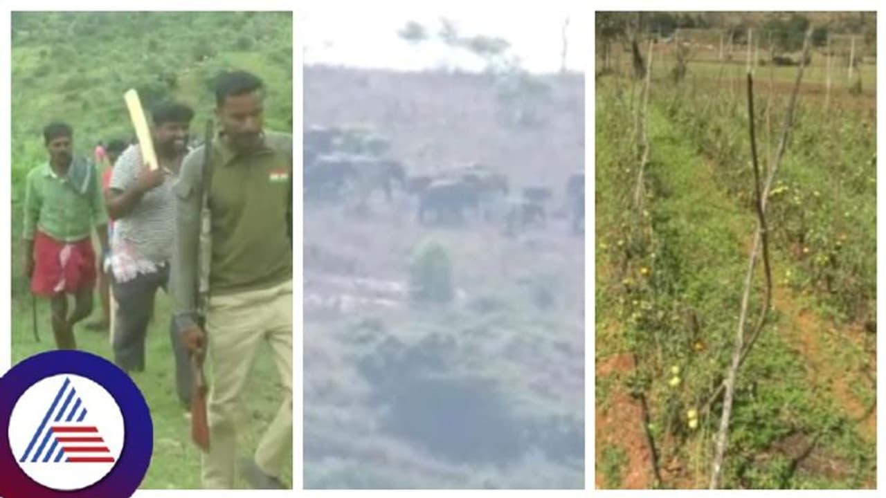  ಕೊನೆಗೂ ಕಾಡಾನೆ ತಡೆಗೆ ಚಾಮರಾಜನಗರದಲ್ಲಿ ಟಾಸ್ಕ್ ಫೋರ್ಸ್, ನಿಟ್ಟುಸಿರು ಬಿಟ್ಟ ಕಾಡಾಂಚಿನ ರೈತರು