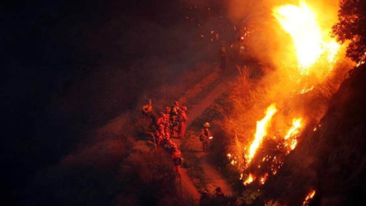 123 lives lost in devastating forest fires Chile faces worst natural crisis since 2010 (WATCH) 123 lives lost in devastating forest fires Chile faces worst natural crisis since 2010 (WATCH)