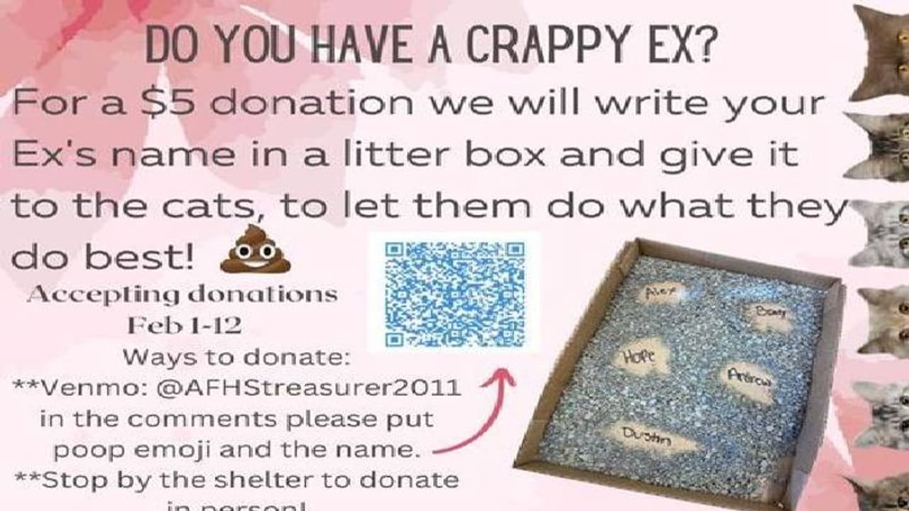 മുൻ കാമുകനോടോ കാമുകിയോടോ മധുരപ്രതികാരം ചെയ്യണോ? പൂച്ചയുടെ ലിറ്റർബോക്സിന് അവരുടെ പേരെഴുതാൻ അവസരം മുൻ കാമുകനോടോ കാമുകിയോടോ മധുരപ്രതികാരം ചെയ്യണോ? പൂച്ചയുടെ ലിറ്റർബോക്സിന് അവരുടെ പേരെഴുതാൻ അവസരം