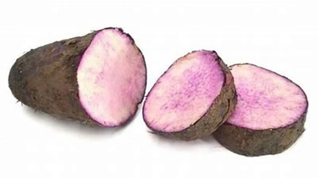 Rasavalli tuber: சர்க்கரை நோயாளிகளுக்கு ஏற்ற இராசவள்ளி கிழங்கின் அளப்பரிய நன்மைகள்!