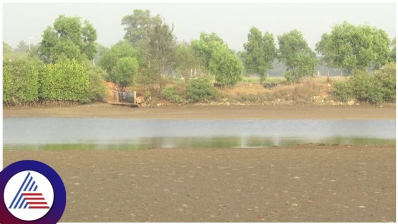 ಉಡುಪಿ: ಹೇರಳ ನೀರಿದ್ದರೂ ಇಲ್ಲಿ ಭೂಮಿ ಬಂಜರು, ಉಪ್ಪು ನೀರಿನಿಂದ ಗ್ರಾಮಸ್ಥರು ಕಂಗಾಲು