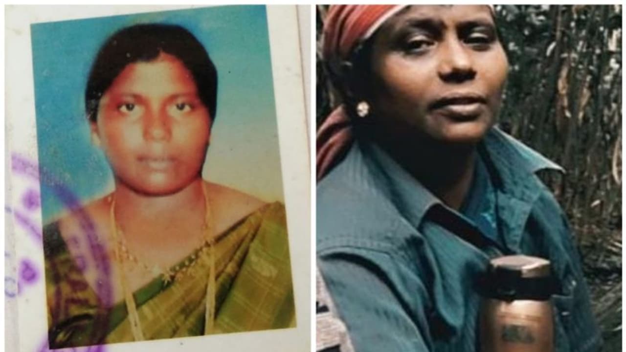 ഉണങ്ങിയ മരം മുറിയ്ക്കാന് നോക്കി; പിന്നീട് കേട്ടത് കൂട്ടനിലവിളി, മരിയക്ക് ജീവന് നഷ്ടമായത് നിമിഷ നേരം കൊണ്ട് ഉണങ്ങിയ മരം മുറിയ്ക്കാന് നോക്കി; പിന്നീട് കേട്ടത് കൂട്ടനിലവിളി, മരിയക്ക് ജീവന് നഷ്ടമായത് നിമിഷ നേരം കൊണ്ട്