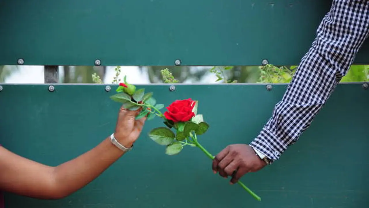 Rose Day 2023 Rose Day 2023