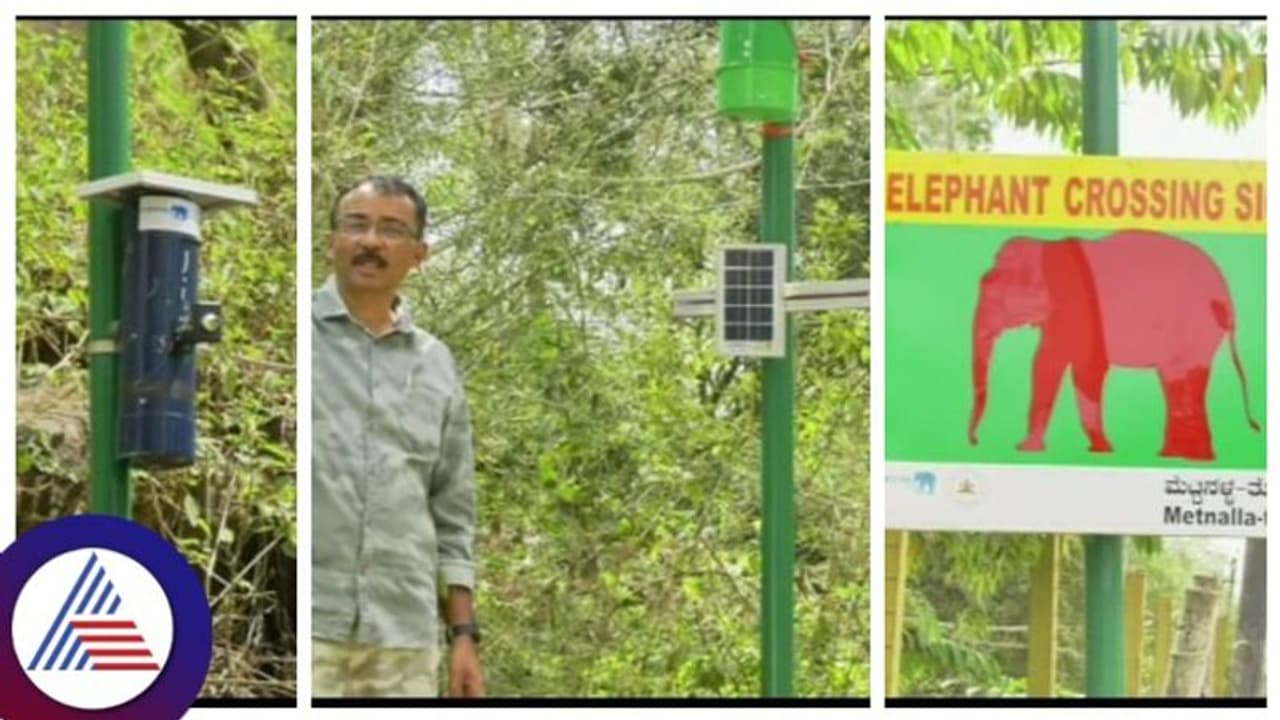 Kodagu: ಕಾಡು ದಾಟಿ ರಸ್ತೆಗೆ ಬರುವುದನ್ನು ಪತ್ತೆಹಚ್ಚಲು ರೆಡಿಯಾಯ್ತು ಆನೆ ಕ್ರಾಸಿಂಗ್ ಸಿಗ್ನಲ್ 