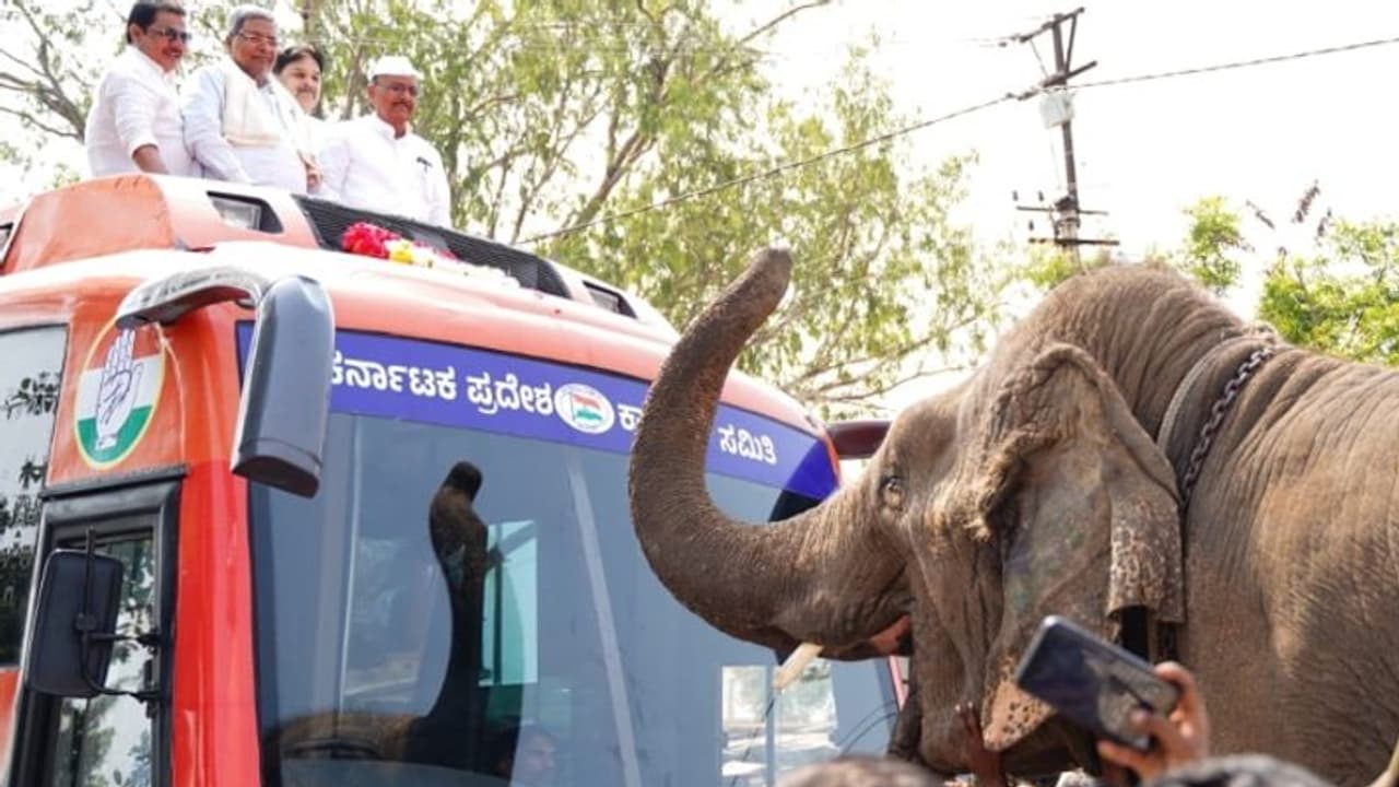 Assembly election: ಹಿಂದುಗಳ ಕೊಲೆಗೆ ಬಿಜೆಪಿ, ಆರ್ಎಸ್ಎಸ್ ಕಾರಣ: ಸಿದ್ದರಾಮಯ್ಯ ಗಂಭೀರ ಆರೋಪ Assembly election: ಹಿಂದುಗಳ ಕೊಲೆಗೆ ಬಿಜೆಪಿ, ಆರ್ಎಸ್ಎಸ್ ಕಾರಣ: ಸಿದ್ದರಾಮಯ್ಯ ಗಂಭೀರ ಆರೋಪ