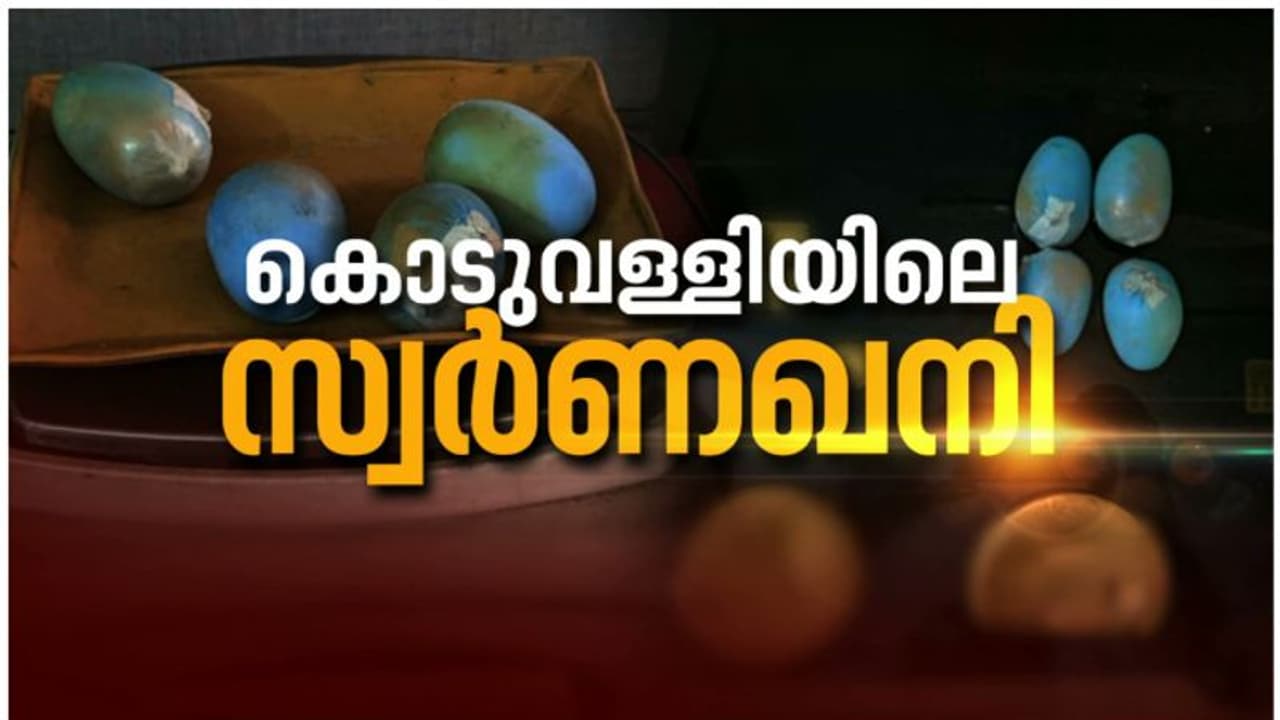 കൊടുവള്ളി സ്വർണവേട്ട : സ്വർണ്ണമുരുക്കിയ വീട്ടിലെ സ്ഥിരം സന്ദർശകർ ആരൊക്കെ ? അന്വേഷണം ഊർജിതം