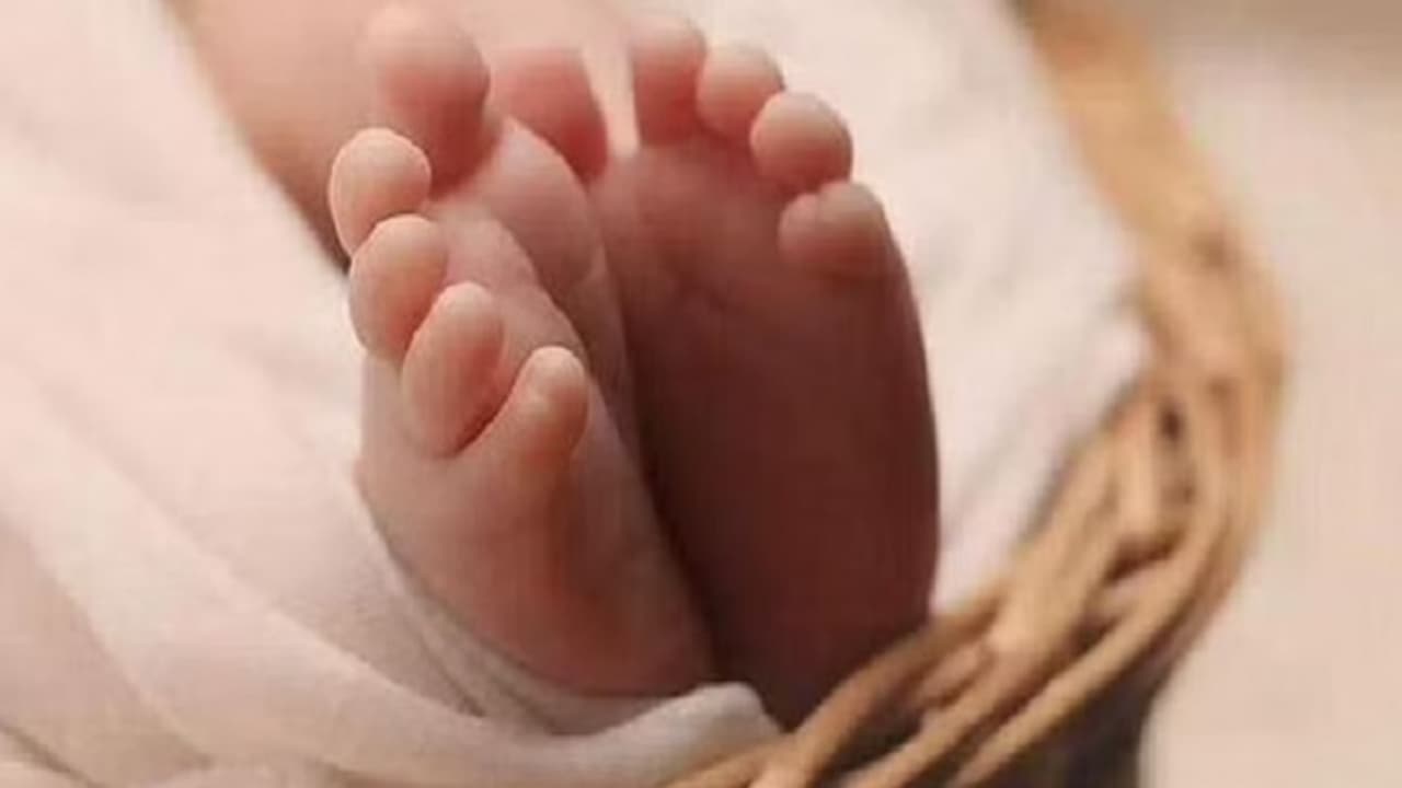 mohali news team of three involved in human trafficking of infants arrested asc