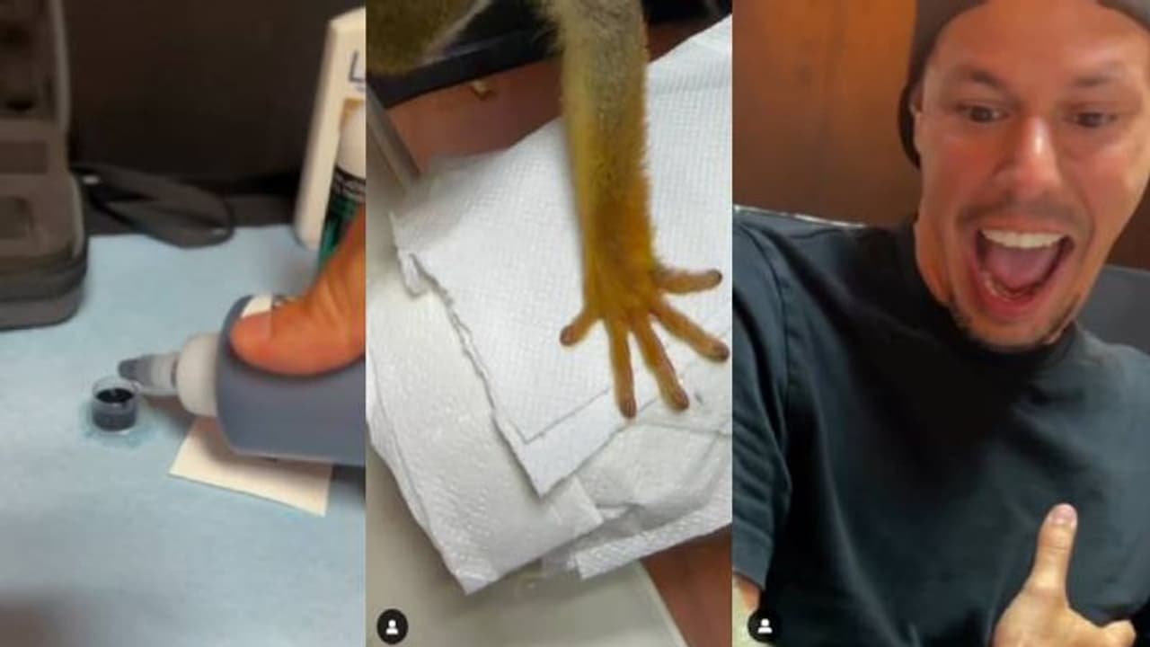 കുരങ്ങനെ കൊണ്ട് ടാറ്റൂ ചെയ്യിച്ച് ഇൻഫ്ലുവൻസർ, വൻ വിമർശനം