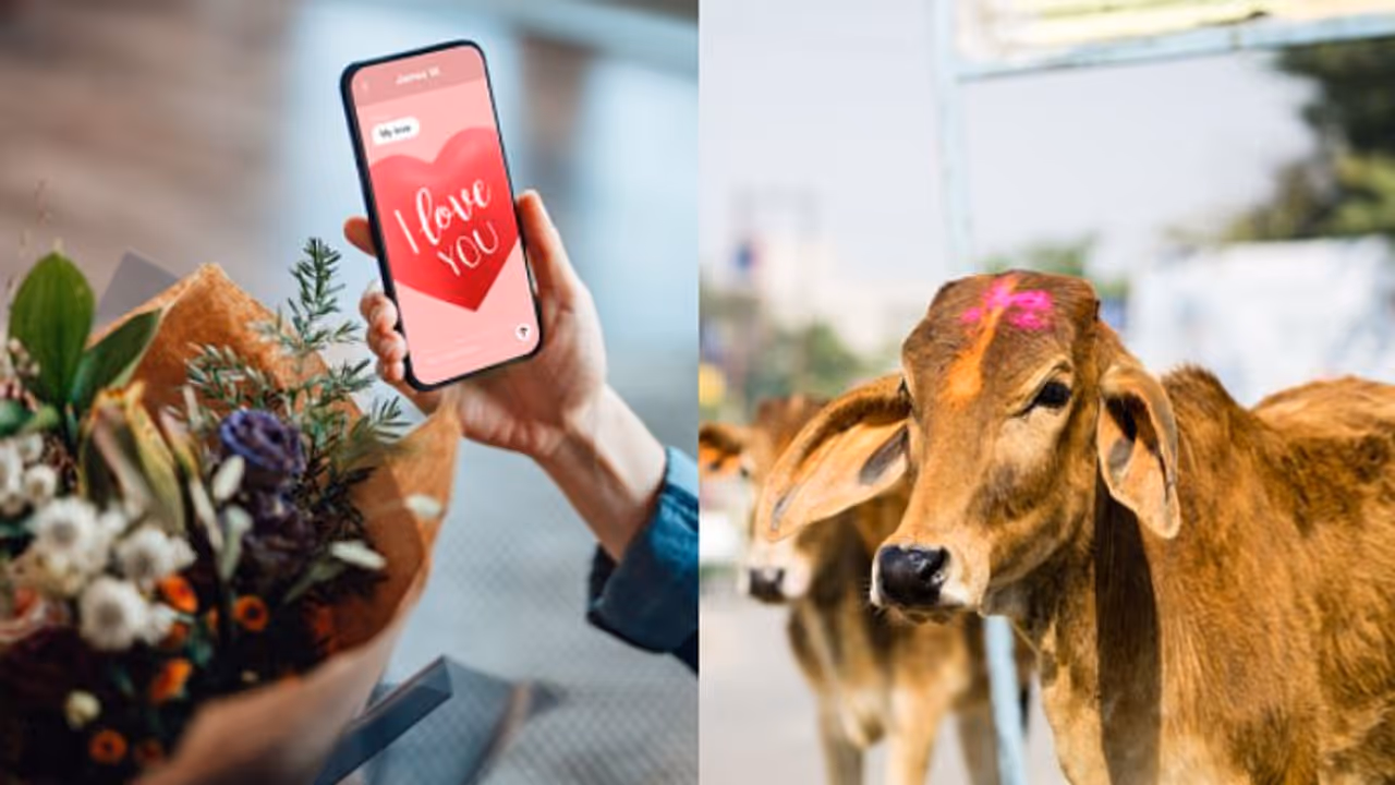 പ്രണയദിനത്തിൽ പശുക്കളെ ആലിംഗനം ചെയ്യണം; സമൂഹത്തിൽ സന്തോഷമുണ്ടാക്കുമെന്ന് കേന്ദ്ര മൃഗ സംരക്ഷണ ബോർഡ്