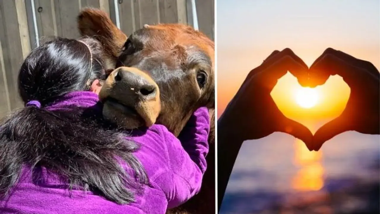 ಪ್ರೇಮಿಗಳ ದಿನಾಚರಣೆ ನಿಮ್ಮ ನಿಮ್ಮ ಪ್ರೀತಿ ಪಾತ್ರರ ಹಗ್ ಮಾಡಿ, ಗೋ ಅಪ್ಪುಗೆ ಪ್ರಸ್ತಾವನೆ ಕೈಬಿಟ್ಟ ಕೇಂದ್ರ!