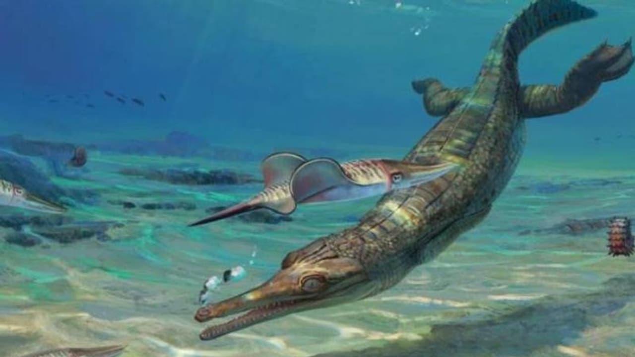 മുതലകളുടെ 'സഹോദരിയെ' കണ്ടെത്തി; ജുറാസിക് യുഗത്തിന് മുമ്പുള്ള കാലഘട്ടത്തിലേക്ക് വെളിച്ചം വീശുമെന്ന് ഗവേഷകര്‍