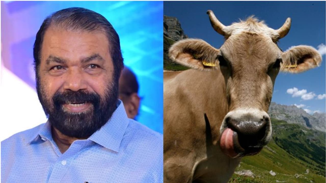 'ഐശ്വര്യത്തിന്റെ സൈറൺ മുഴങ്ങുന്നതുപോലെ'; പശു ആലിം​ഗന ദിനത്തെ ട്രോളി മന്ത്രി ശിവൻകുട്ടി