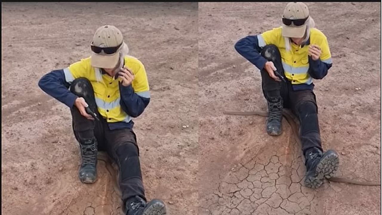 ಕಾಲು ನೀಡಿ ಕುಳಿತ ಮಹಿಳೆಯ ಕಾಲಿನ ಕೆಳಗೆ ಸಾಗಿದ ಹಾವು: ತಣ್ಣಗೆ ಕುಳಿತ ಗಟ್ಟಿಗಿತ್ತಿ ಕಾಲು ನೀಡಿ ಕುಳಿತ ಮಹಿಳೆಯ ಕಾಲಿನ ಕೆಳಗೆ ಸಾಗಿದ ಹಾವು: ತಣ್ಣಗೆ ಕುಳಿತ ಗಟ್ಟಿಗಿತ್ತಿ