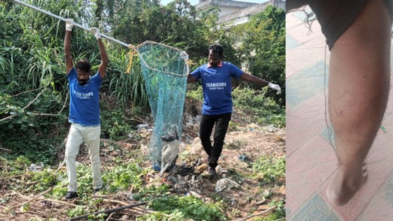 വസ്ത്രം കടിച്ചു കീറി, ഓടിച്ചിട്ട് കടിച്ചു; ആലപ്പുഴയില്‍ തെരുവ് നായയുടെ ആക്രമണം, നാല് പേർക്ക് പരിക്ക്