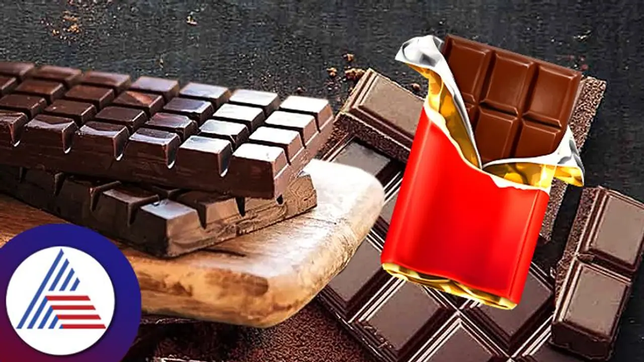Chocolate Day: 16ನೇ ಶತಮಾನದ ವರೆಗೂ ಚಾಕೋಲೇಟ್ ಕಹಿಯಾಗಿಯೇ ಇತ್ತು!