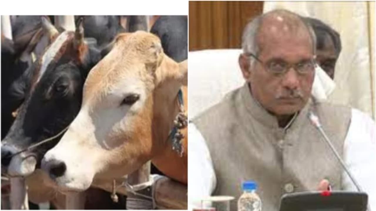 'പശുവിനെ കെട്ടിപ്പിടിക്കുന്നത് ബിപി കുറയ്ക്കും, അസുഖങ്ങൾ തടയും'; യുപി മൃഗ സംരക്ഷണ വകുപ്പ് മന്ത്രി 