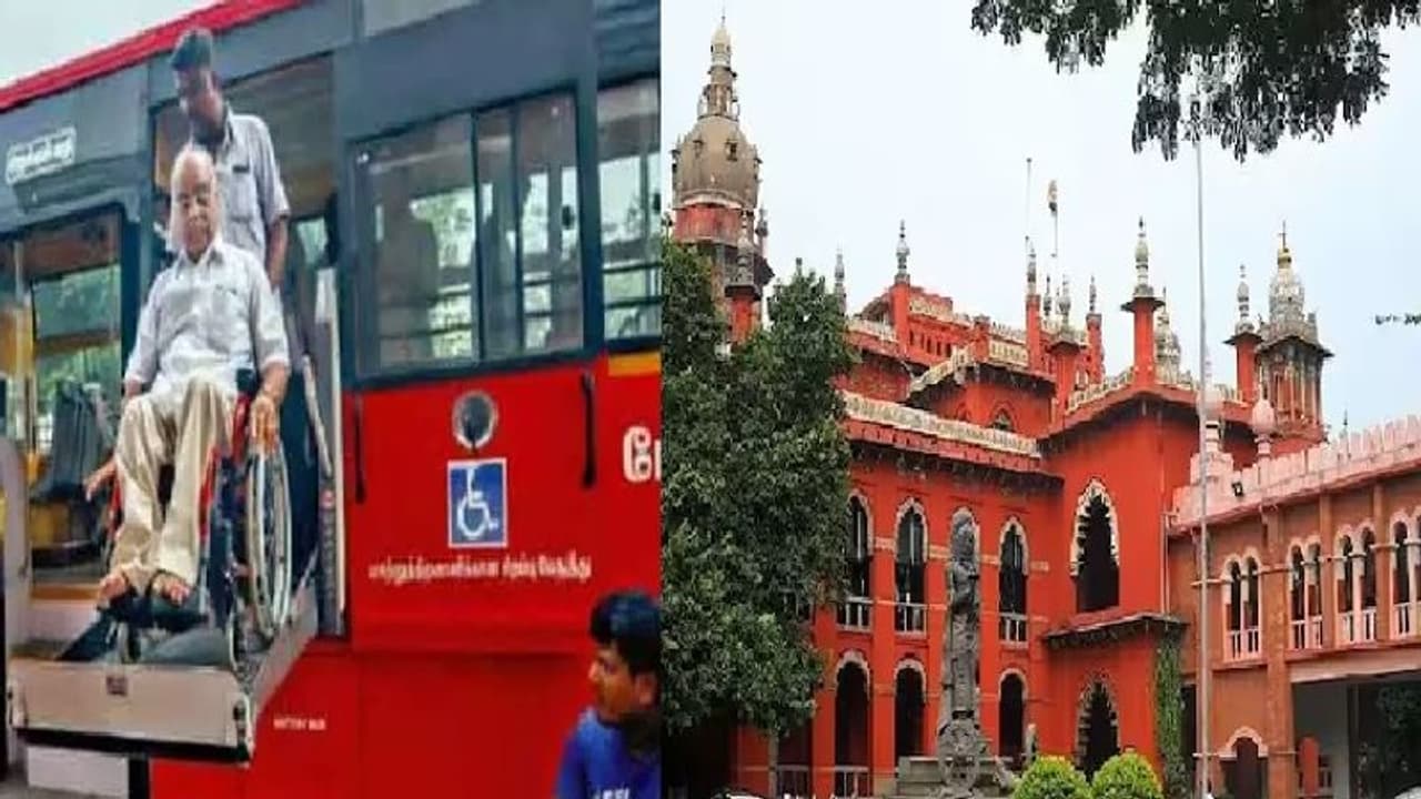 65 வழித்தடங்களில் மட்டுமே தாழ்தள பேருந்துகள் இயக்க வாய்ப்பு... சென்னை மாநகரப் போக்குவரத்துக் கழகம் பதில்மனு!! 65 வழித்தடங்களில் மட்டுமே தாழ்தள பேருந்துகள் இயக்க வாய்ப்பு... சென்னை மாநகரப் போக்குவரத்துக் கழகம் பதில்மனு!!