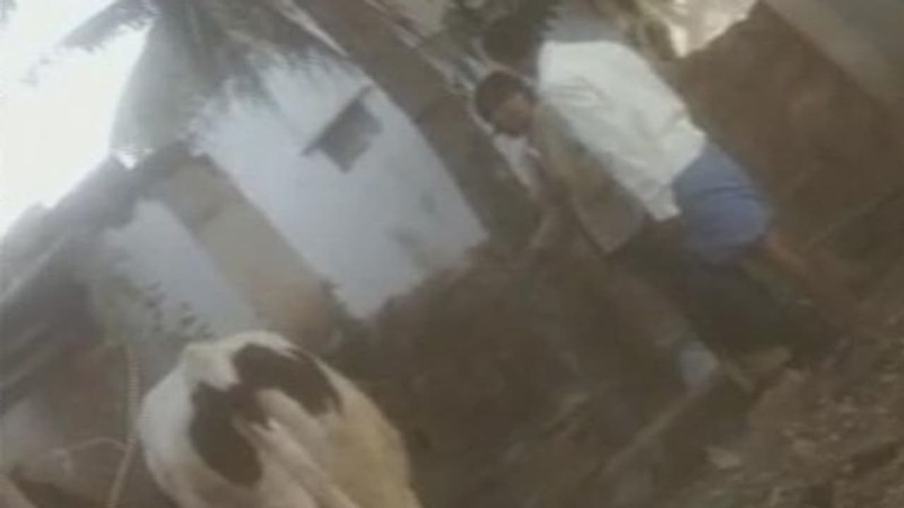 'കൃഷിയിടത്തിൽ പശുക്കൾ കയറി'; ദലിത് സ്ത്രീയെ തൂണിൽ കെട്ടിയി‌ട്ട് ചെരുപ്പ് കൊണ്ടടിച്ചു