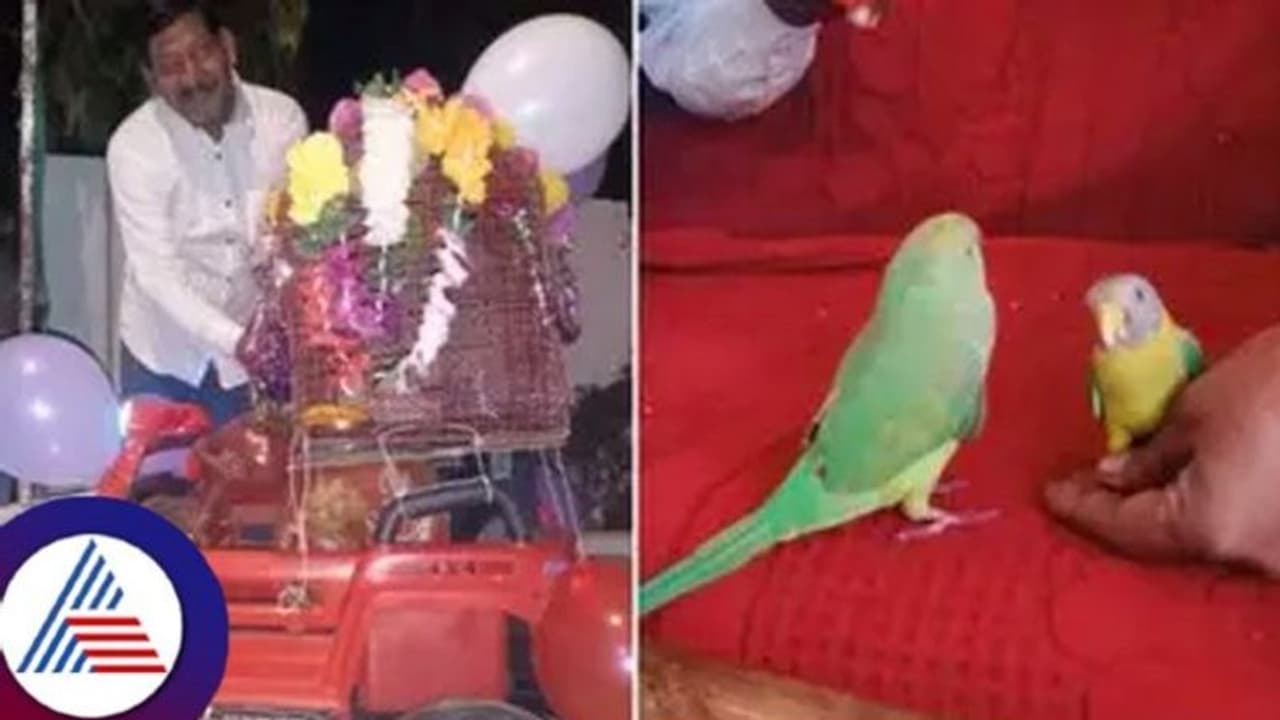 ಅರೆರೆ..ಇದೇನ್ ವಿಚಿತ್ರ, ಜಾತಕ ನೋಡಿ ಅದ್ಧೂರಿಯಾಗಿ ಗಿಳಿ ಗುಬ್ಬಚ್ಚಿ ಮದುವೇನೆ ಮಾಡ್ಸಿದ್ರು! ಅರೆರೆ..ಇದೇನ್ ವಿಚಿತ್ರ, ಜಾತಕ ನೋಡಿ ಅದ್ಧೂರಿಯಾಗಿ ಗಿಳಿ ಗುಬ್ಬಚ್ಚಿ ಮದುವೇನೆ ಮಾಡ್ಸಿದ್ರು!