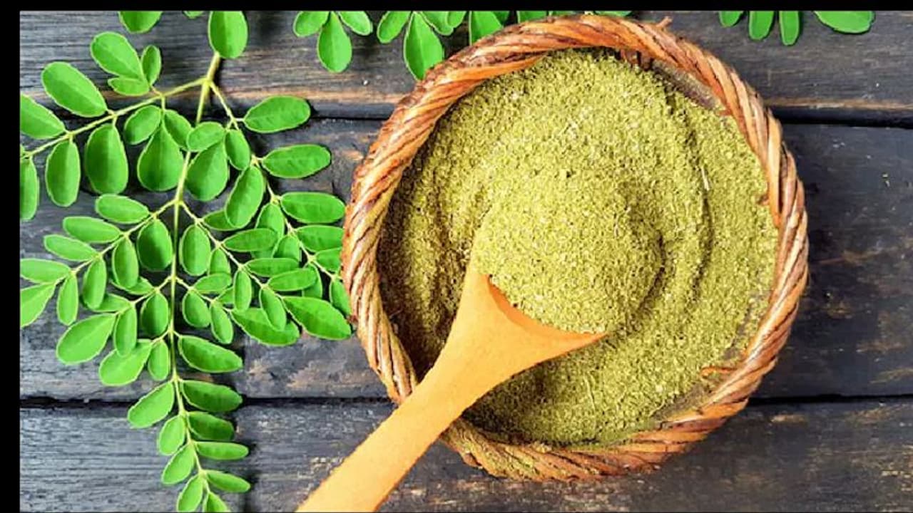 ஆரோக்கியத்திற்கு அருமருந்து முருங்கை கீரை பொடி ! ஆரோக்கியத்திற்கு அருமருந்து முருங்கை கீரை பொடி !