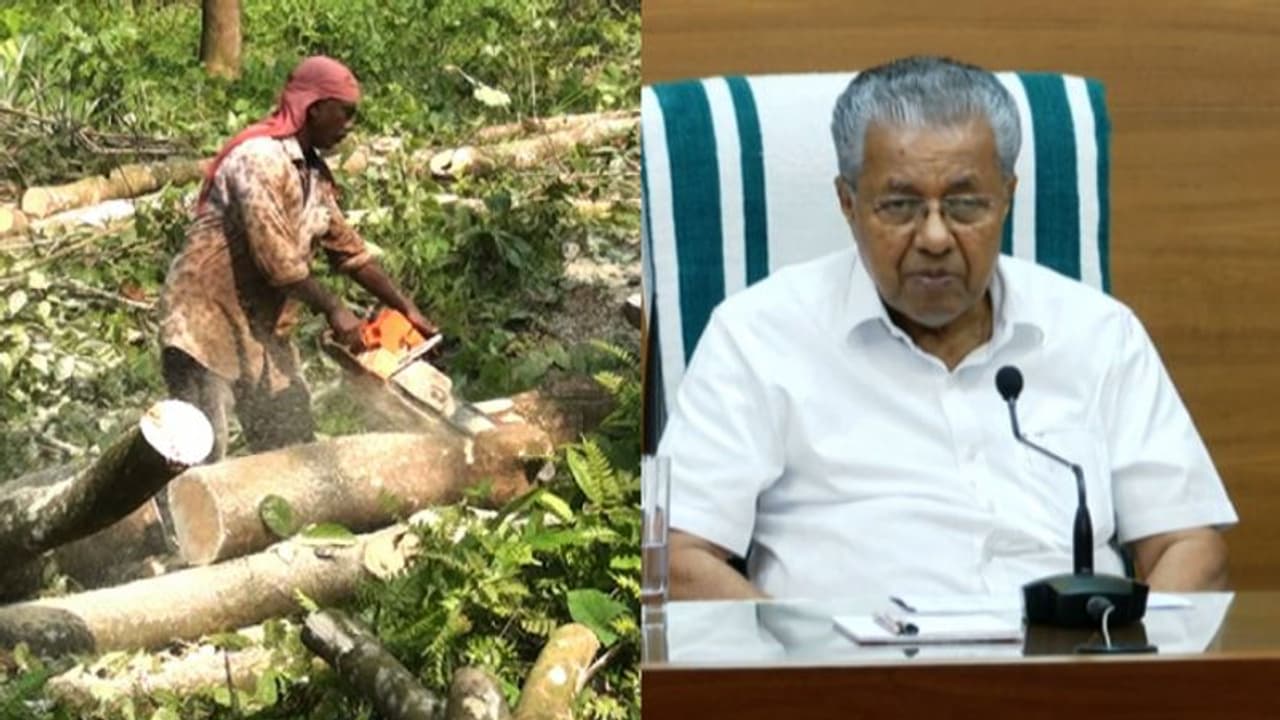 വൻകിട തോട്ടം ഉടമകൾക്കുള്ള ഇളവ്: സംസ്ഥാന സർക്കാരിന് നഷ്ടമായത് കോടികൾ വൻകിട തോട്ടം ഉടമകൾക്കുള്ള ഇളവ്: സംസ്ഥാന സർക്കാരിന് നഷ്ടമായത് കോടികൾ