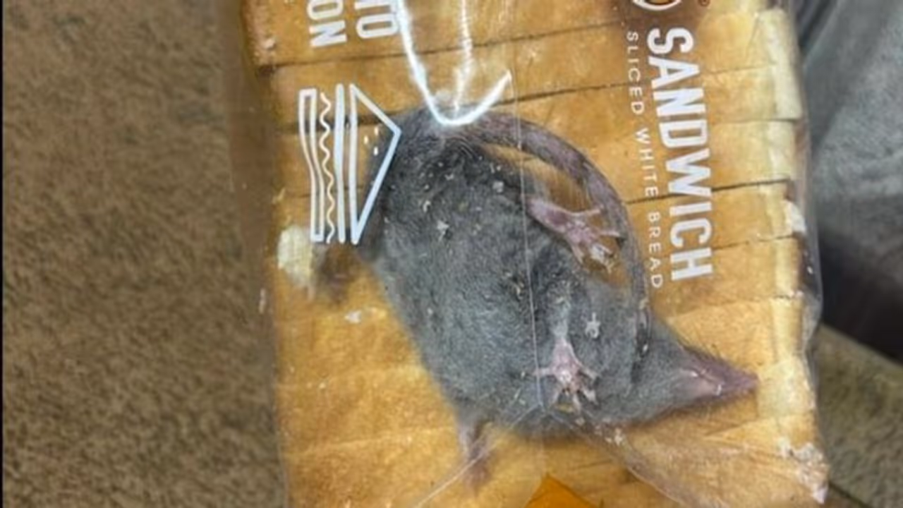 షాకింగ్.. ఆన్లైన్ లో బ్రెడ్ ఆర్డర్ చేస్తే.. ఎలుక ప్రత్యేక్షం..