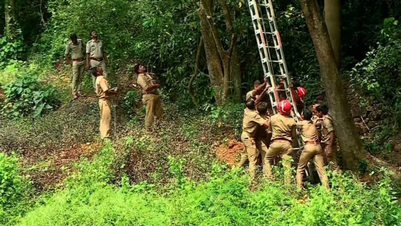 കോഴിക്കോട് യുവാവ് തൂങ്ങി മരിച്ച നിലയിൽ, കണ്ടെത്തിയത്15 മീറ്റർ ഉയരമുള്ള മരത്തിൽ